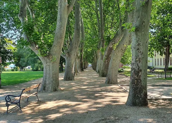 In - Balaton 43408 Lejlighed